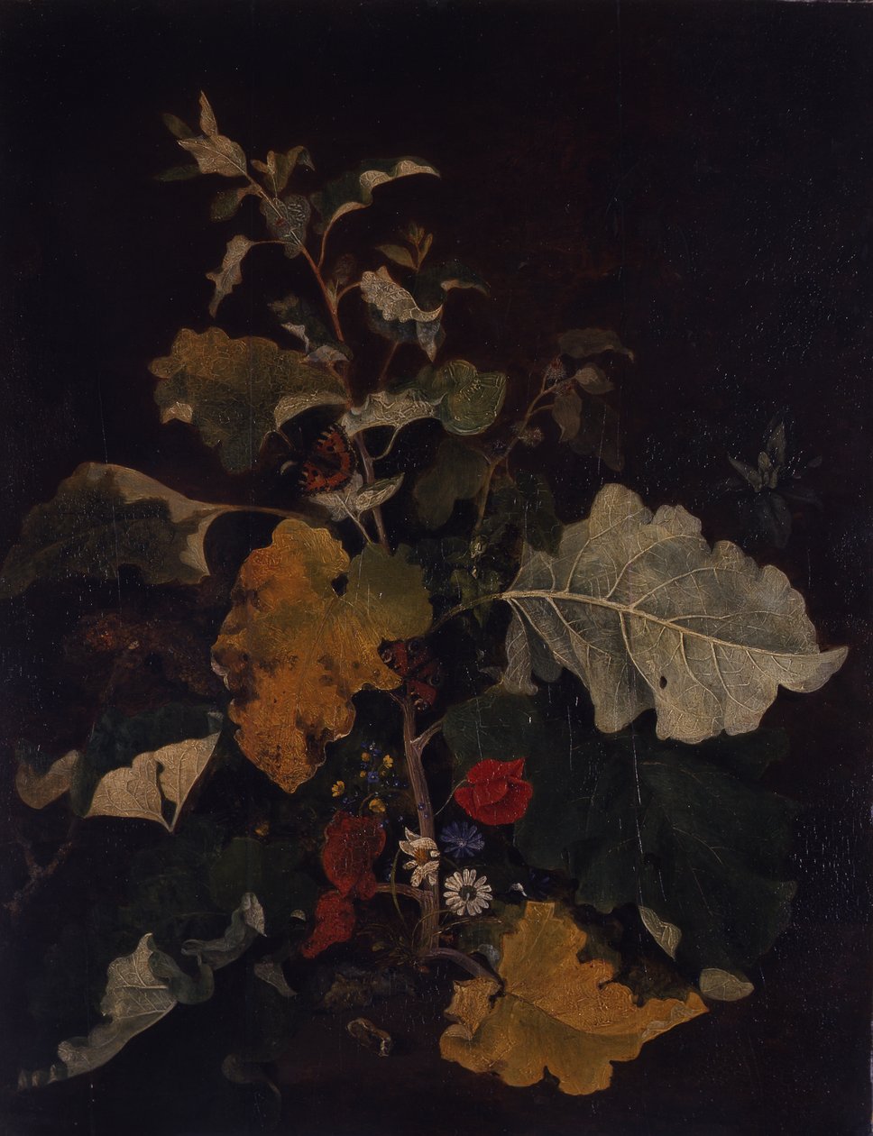 Studie av en kardborre av John Crome