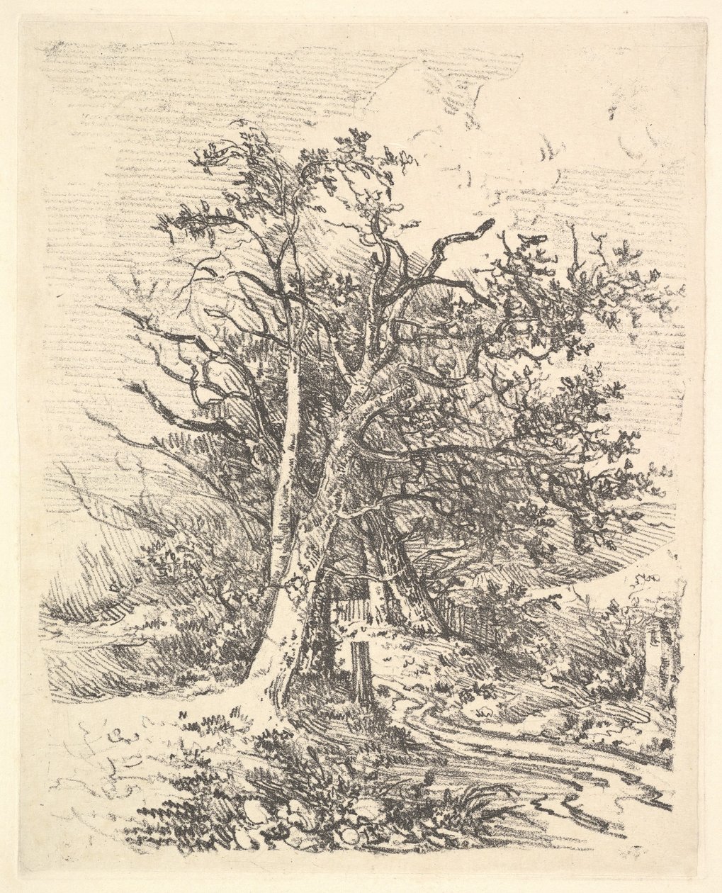 Trädstammar och lane, 1811-13. av John Crome