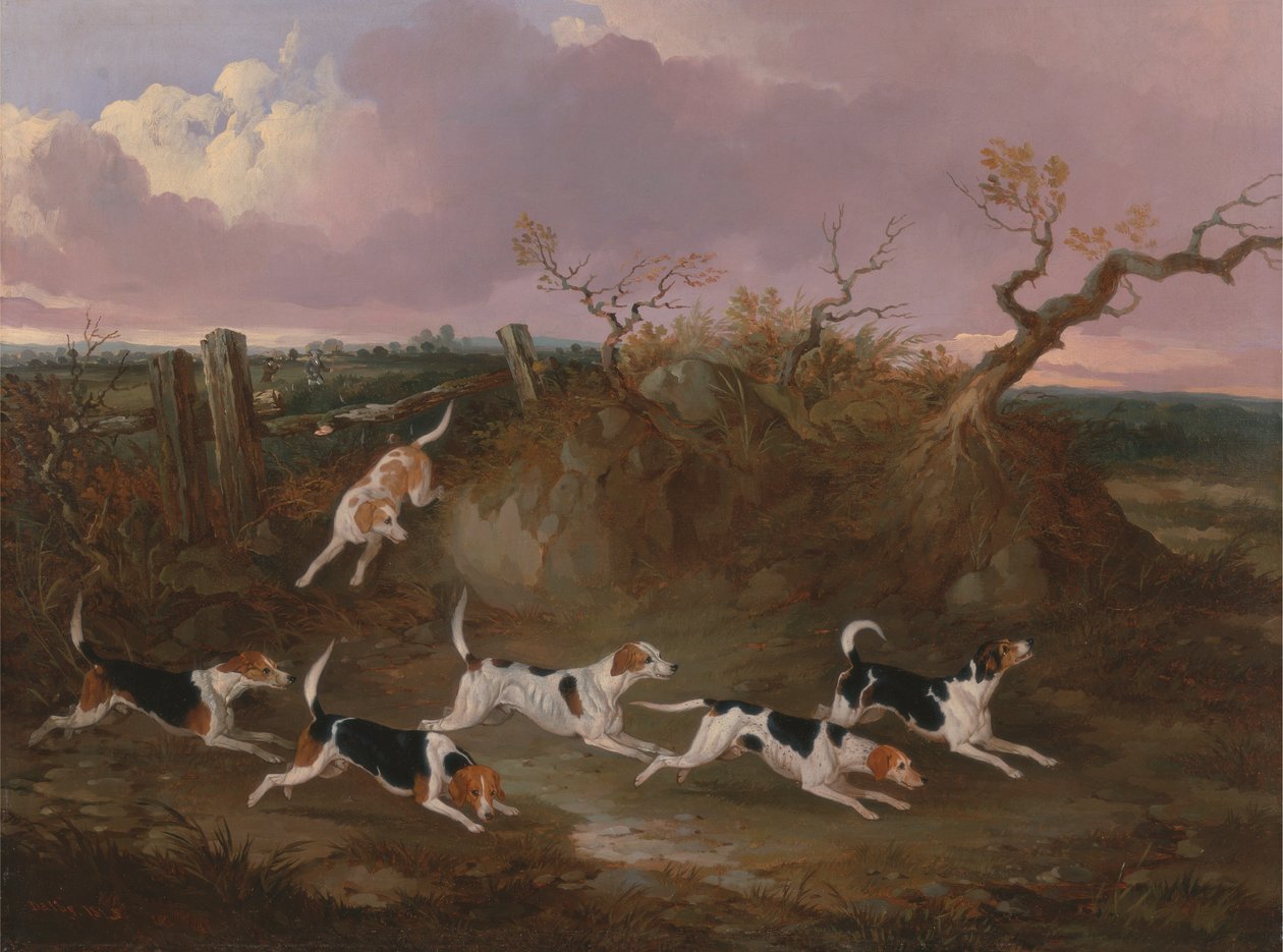 Beagles i full gråt av John Dalby