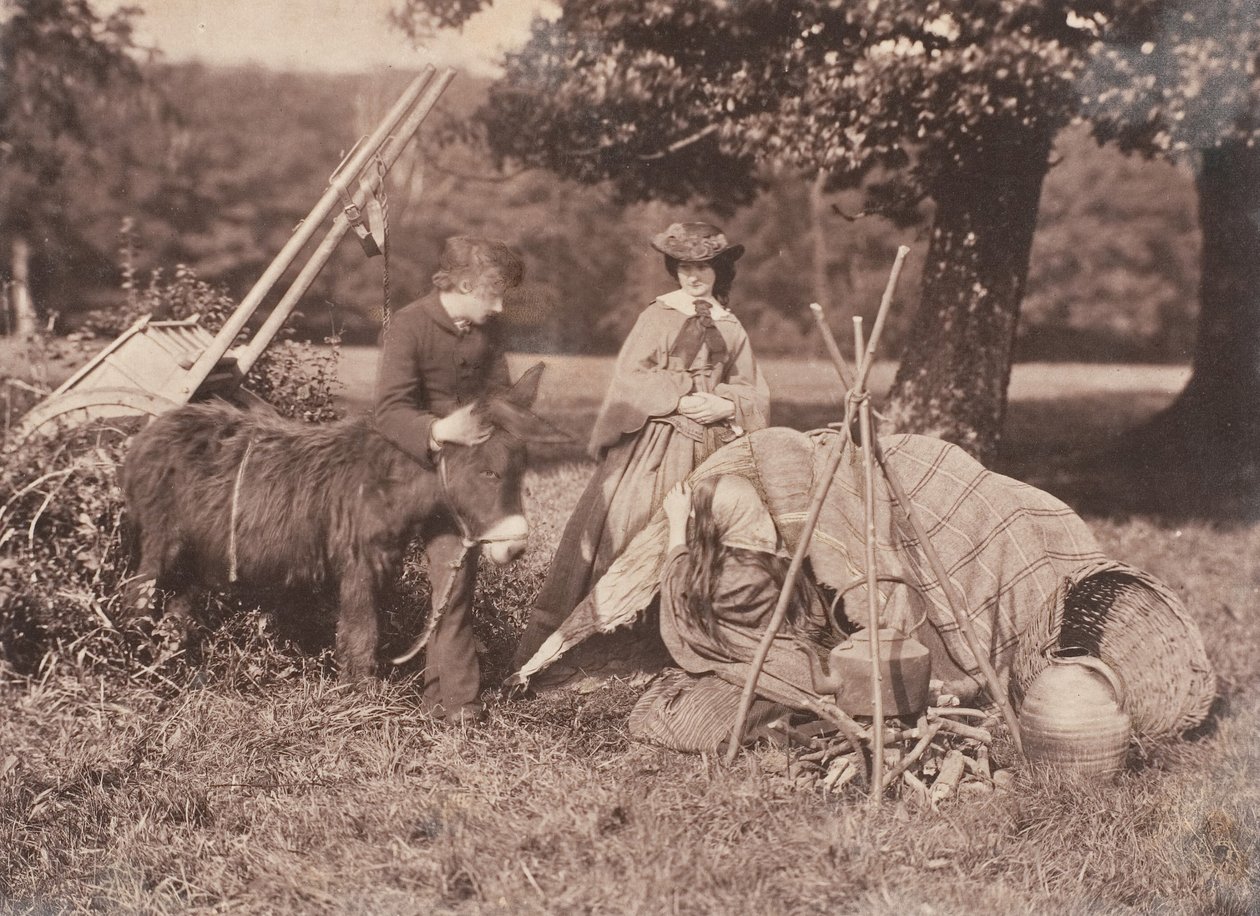 Plåster, 1853-56. av John Dillwyn Llewelyn
