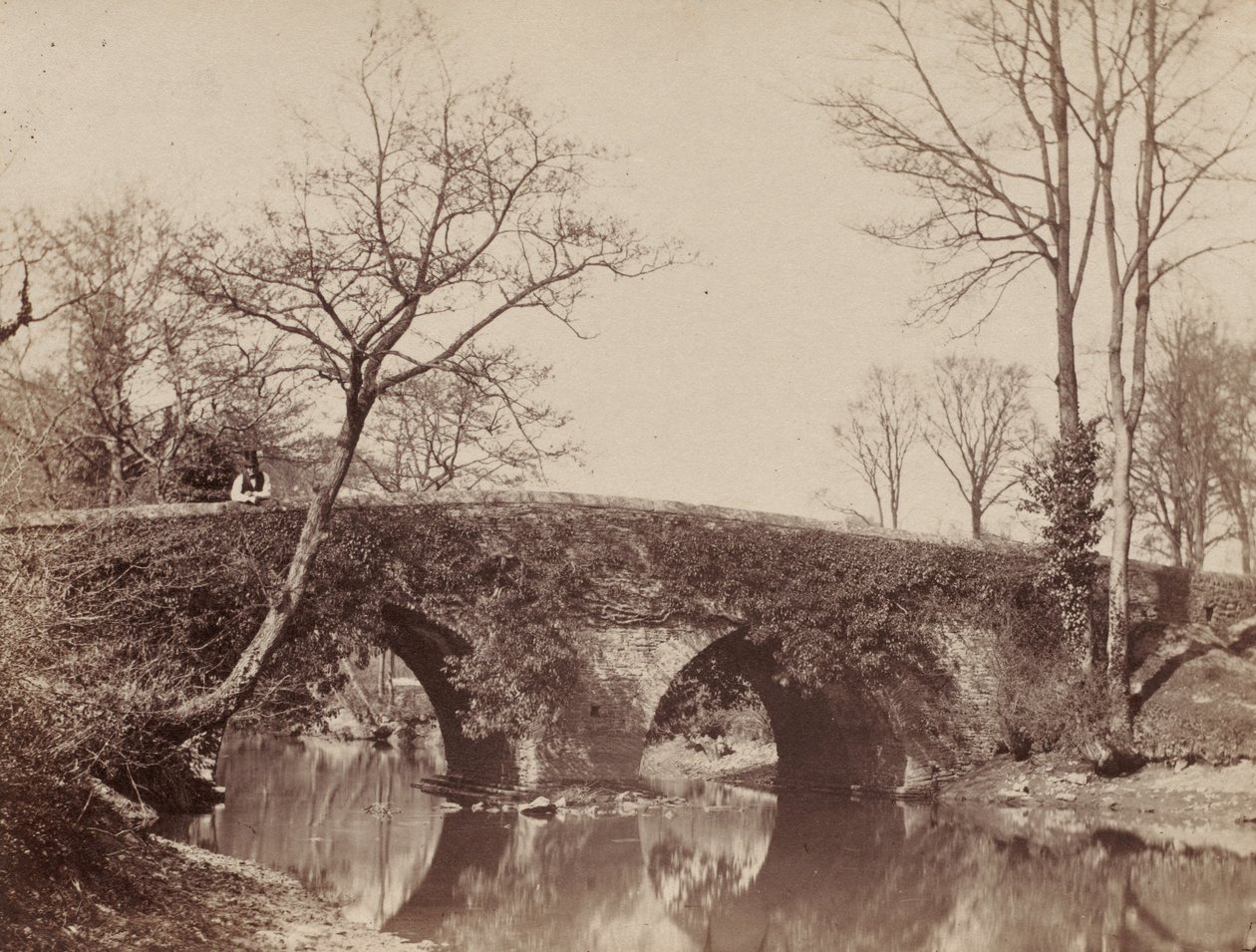 The Country Bridge Staplylton Bridge, Bristol, ca. 1854-1857. av John Dillwyn Llewelyn