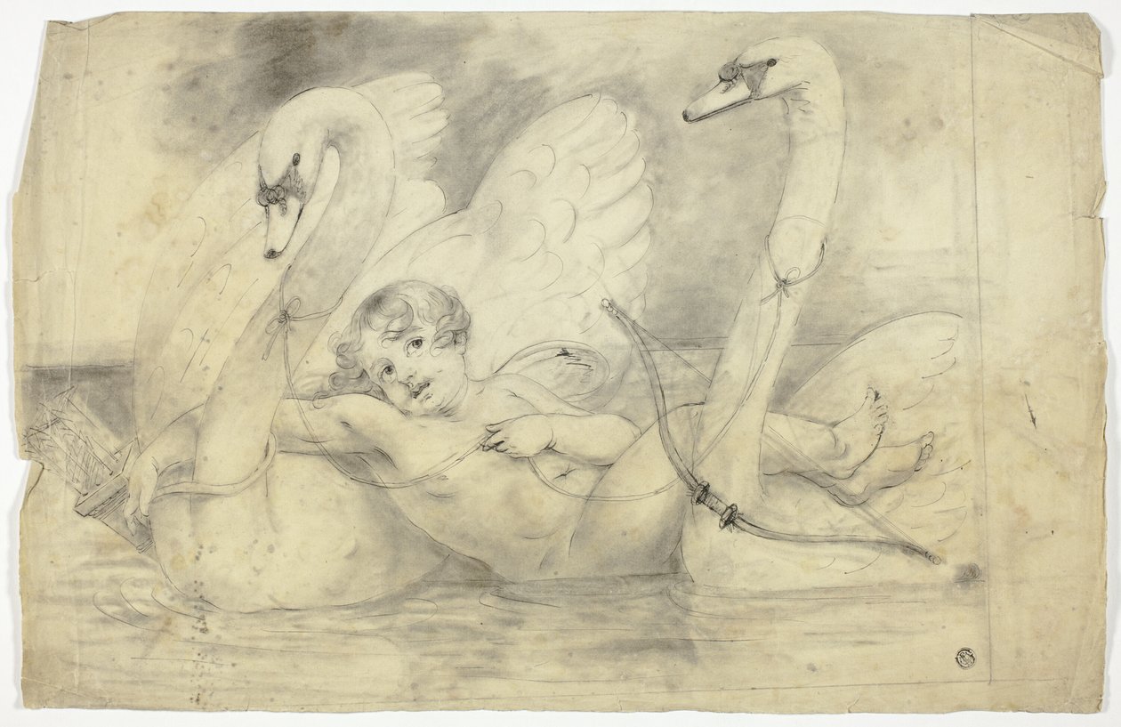 Amor och svanar av John Downman