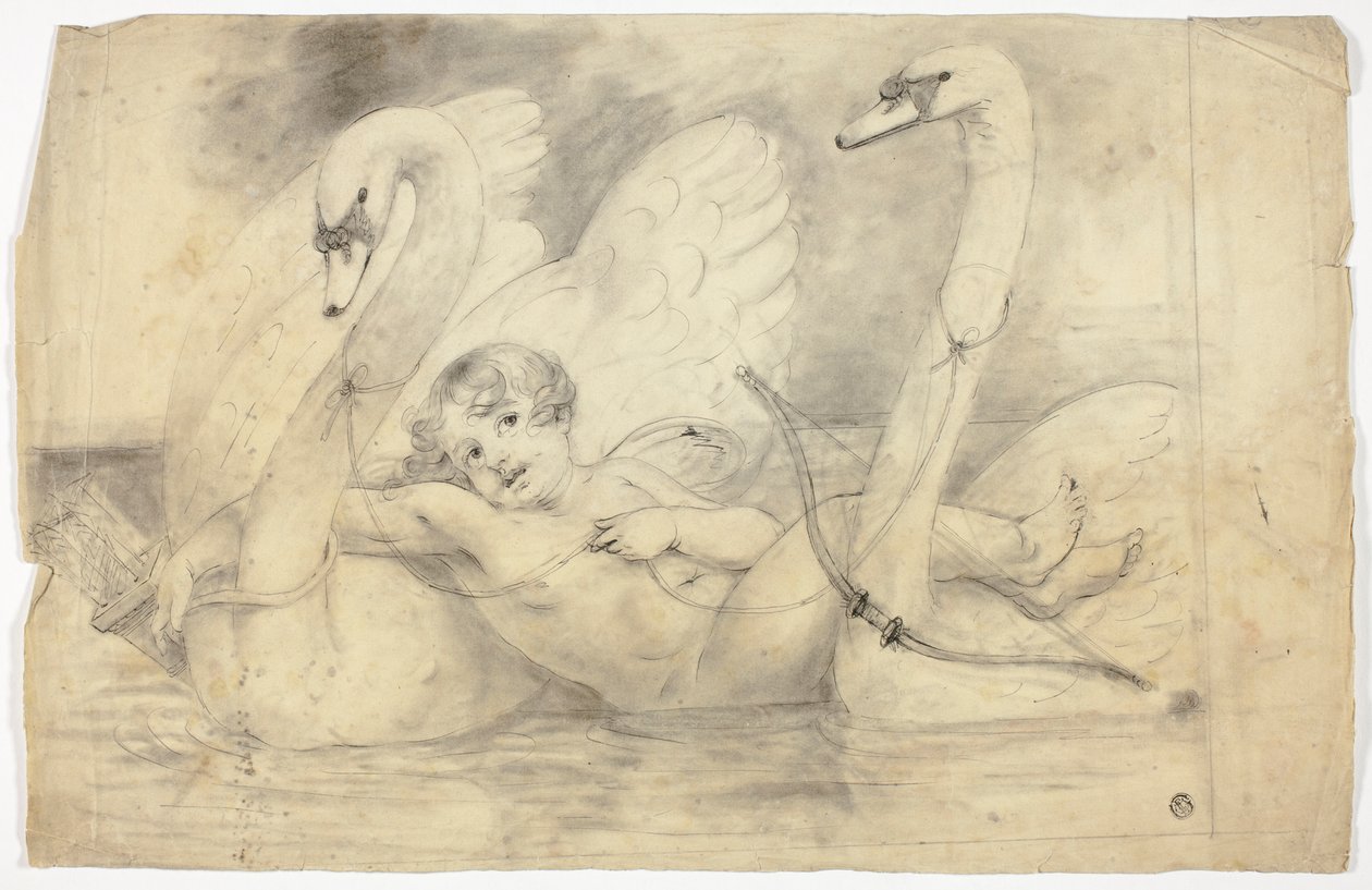 Amor och svanar av John Downman