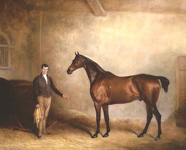 Charles Neil Hoggs Bay Hunter "Claxton" av John E. Ferneley