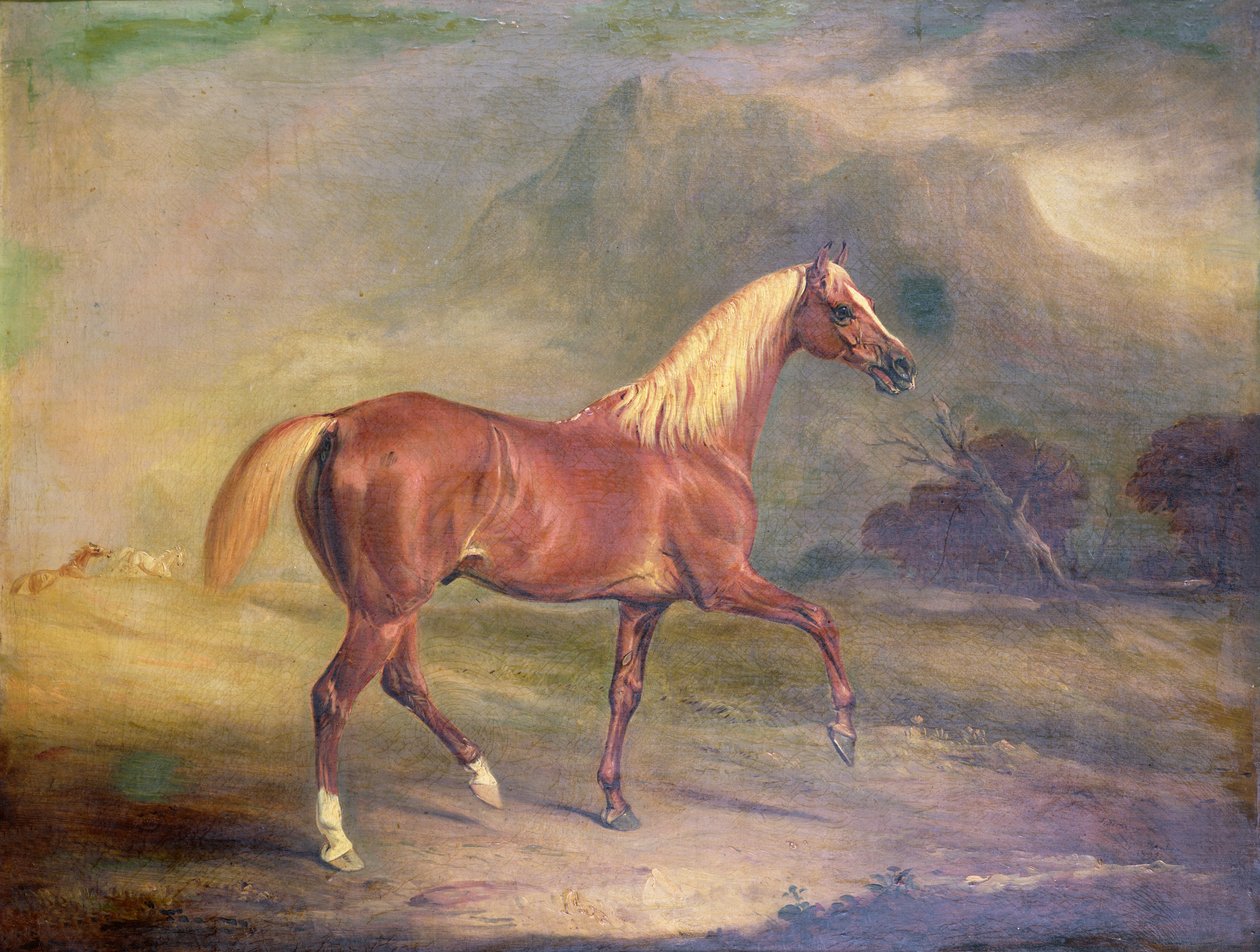 Fux arabhingst av John E. Ferneley