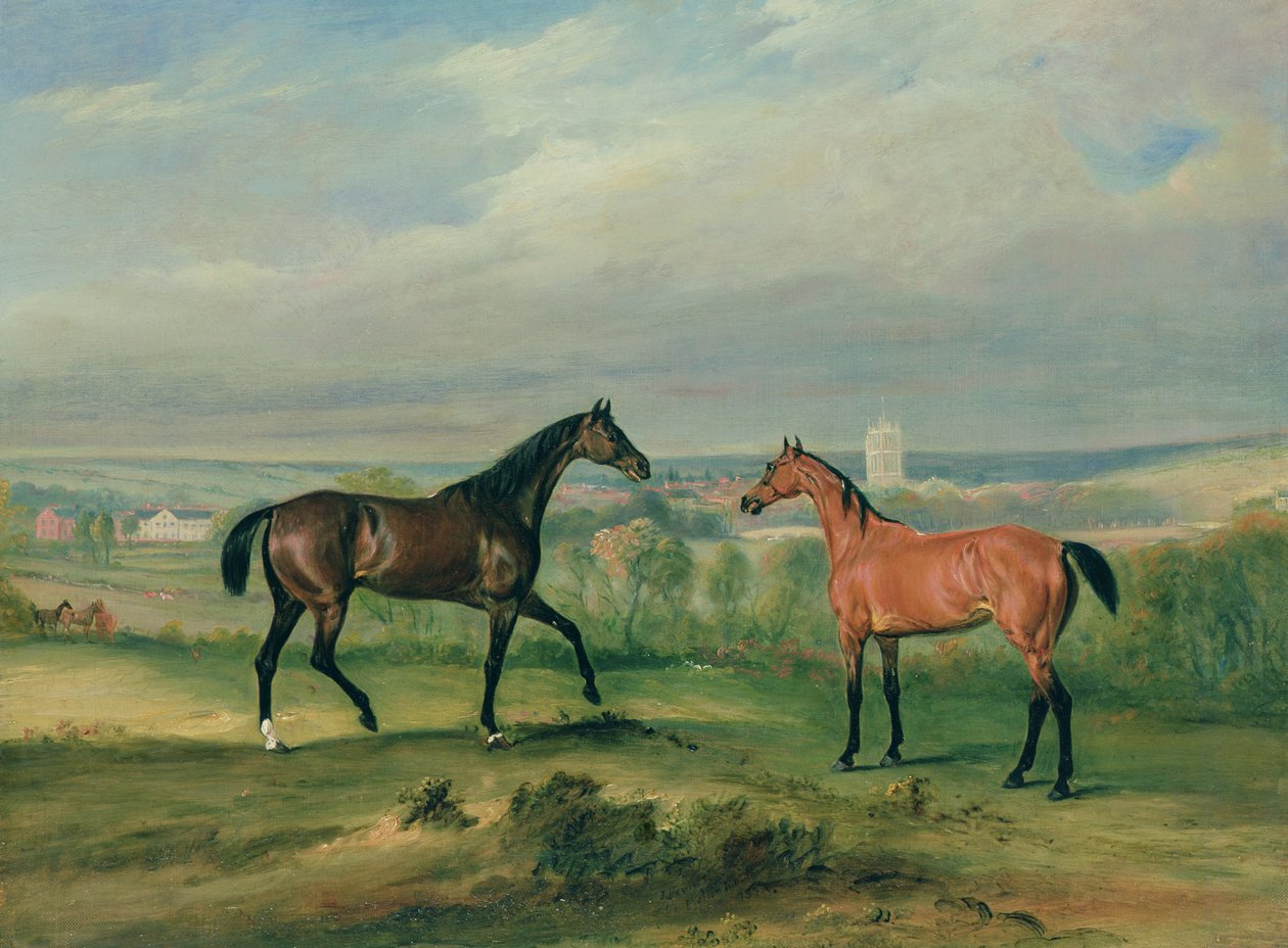 Greve Batyanys favoritjägare på Melton Mowbray av John E. Ferneley