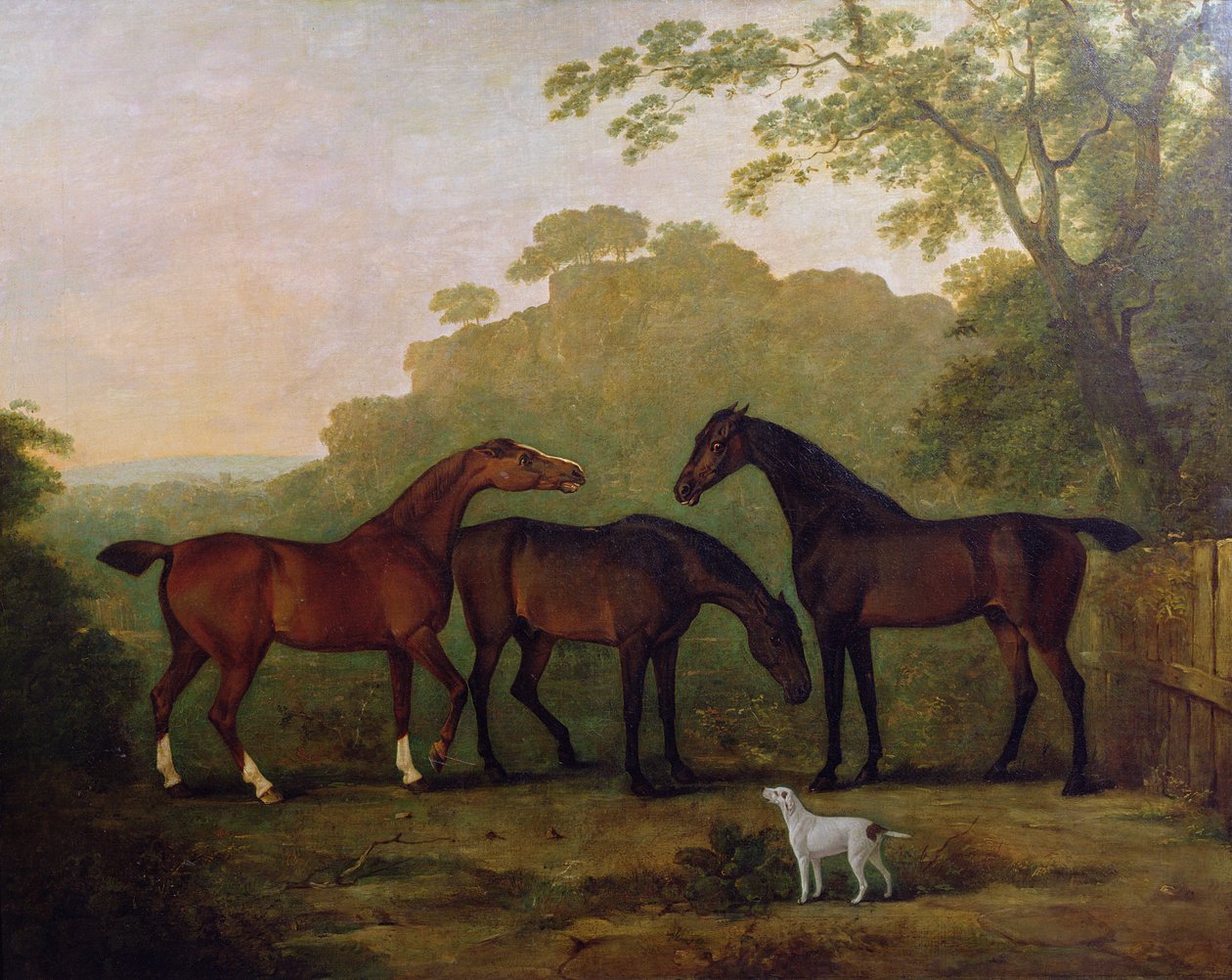 Jägare på gräs av John E. Ferneley