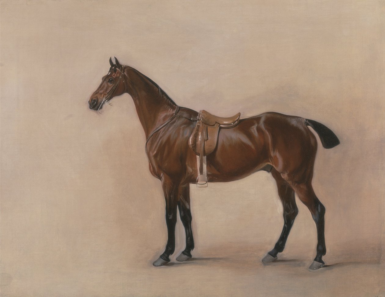 Studie av en Saddled Bay Hunter av John E. Ferneley