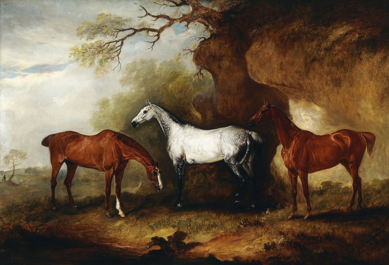 Tre jägare som tillhör Robert Myddelton-Biddulph, av John E. Ferneley