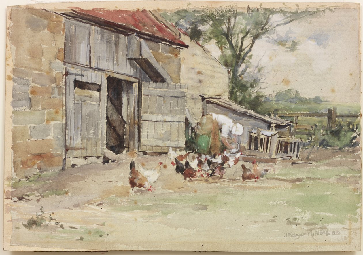 Kulisha Kuku, 1909 (wc kwenye karatasi)swed av John Edgar Mitchell
