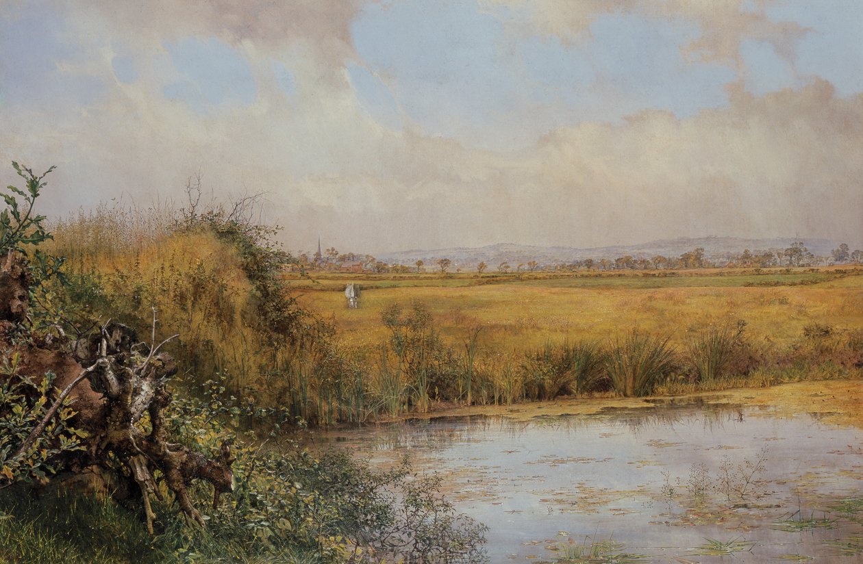 Okänd bild av John Edward Newton