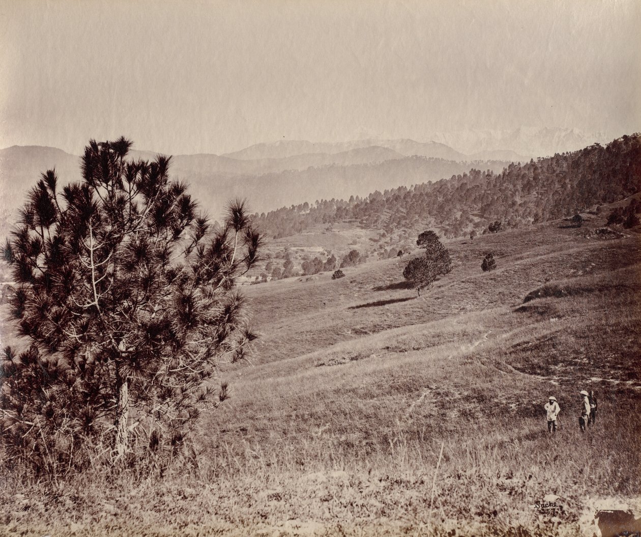 swedish av John Edward Saché