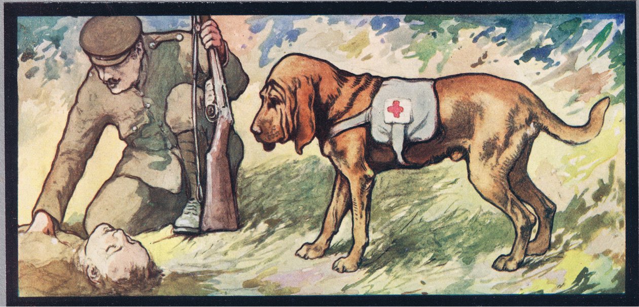 Ambuland bloodhound, illustration från "Hjälparna utan händer" av Gladys Davidson, publicerad 1919 (färg litho) av John Edwin Noble