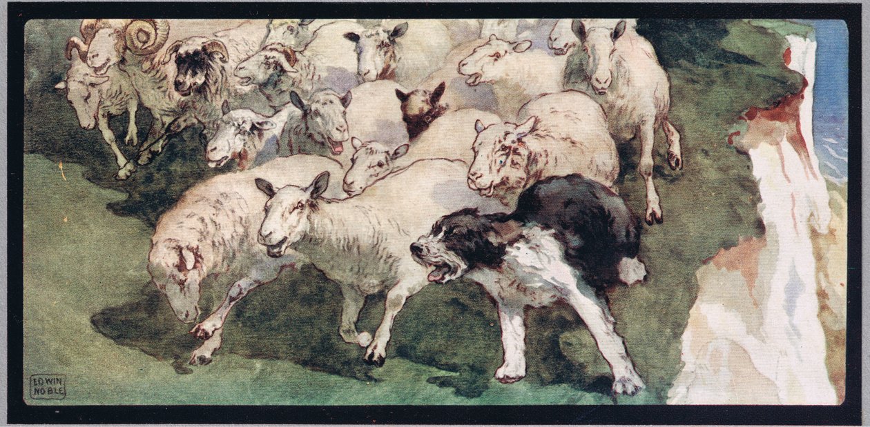 Bobtail fårhund och flock på klippor, illustration från "Hjälparna utan händer" av Gladys Davidson, publicerad 1919 (färg litho) av John Edwin Noble