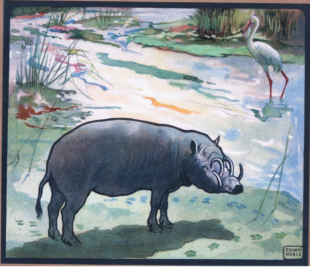 Bush Pig (Red River Hog) av John Edwin Noble