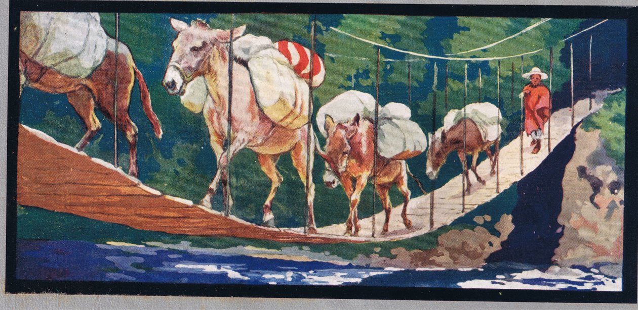 Åsnor bär förnödenheter över en repbro, illustration från "Hjälparna utan händer" av Gladys Davidson, publicerad 1919 (litho i färg) av John Edwin Noble
