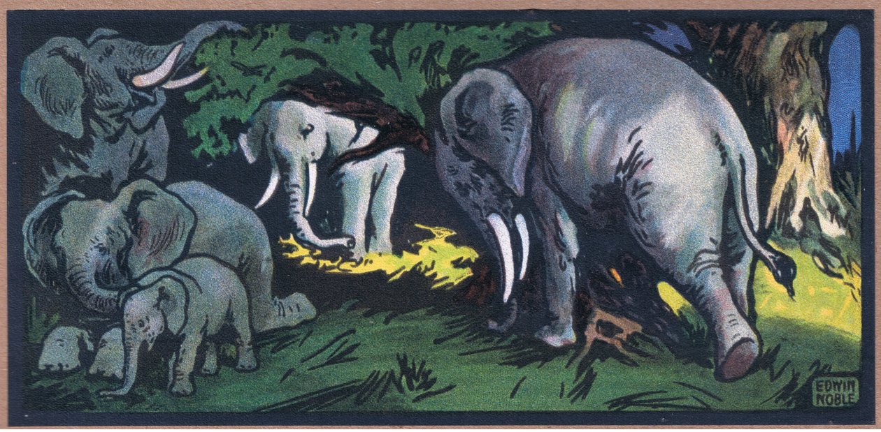 Elefant i vildmarken av John Edwin Noble