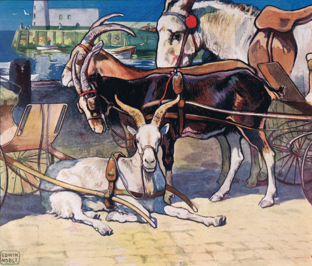 Getter som vilar, illustration från 
