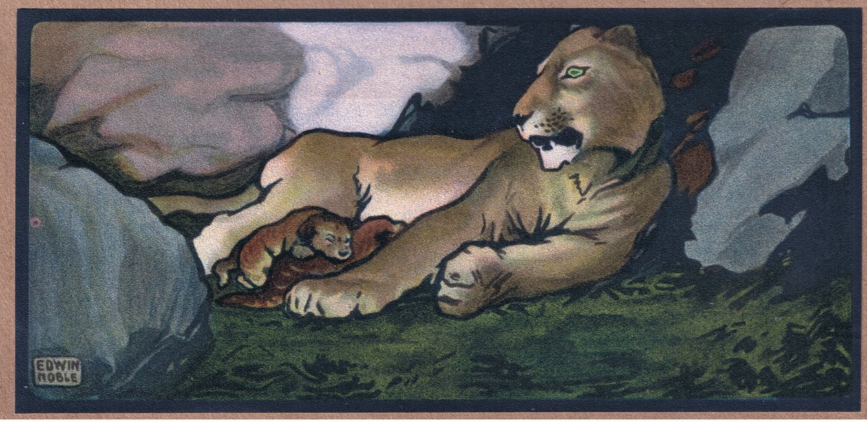 Lejon med unga av John Edwin Noble