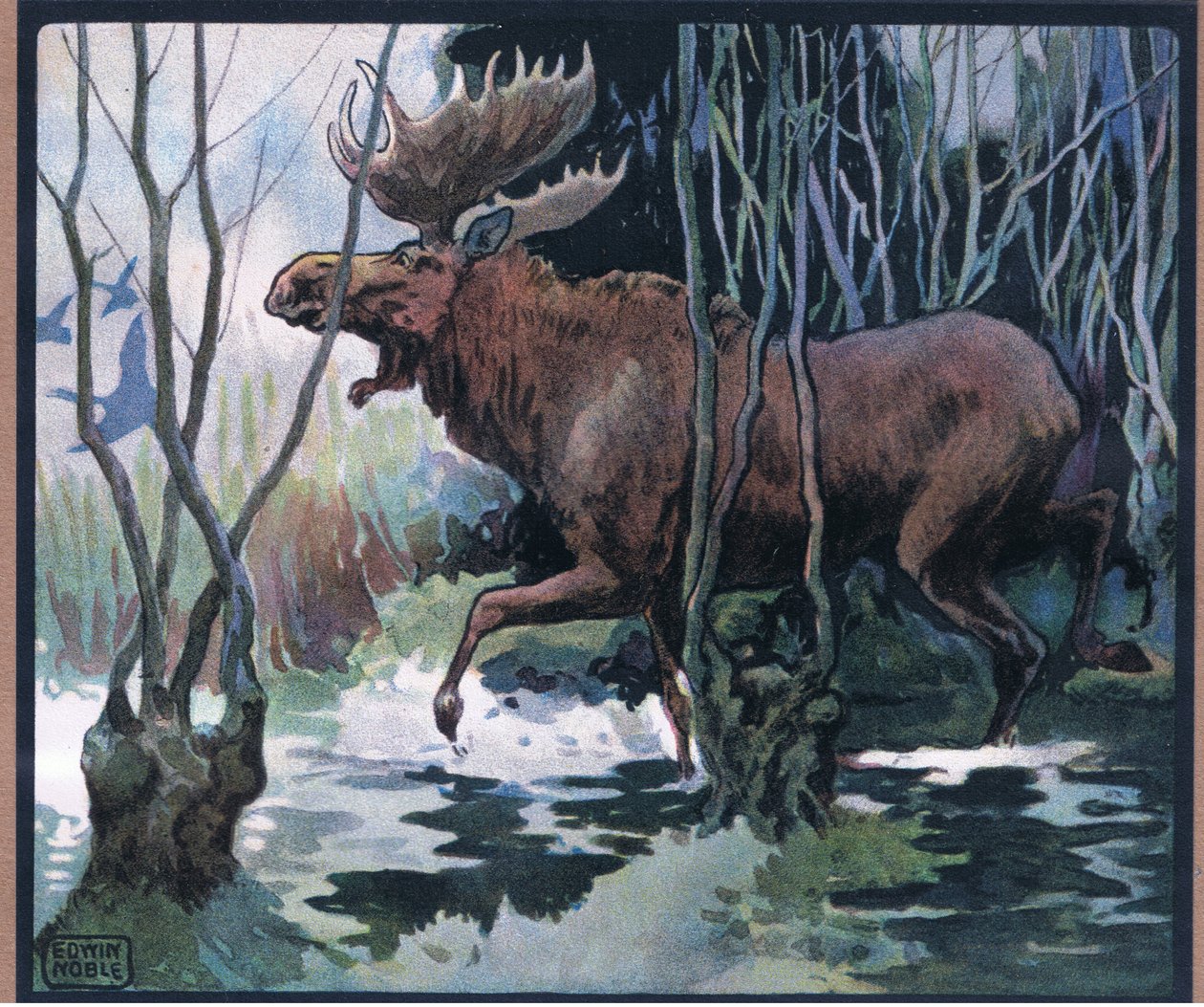 Älg av John Edwin Noble