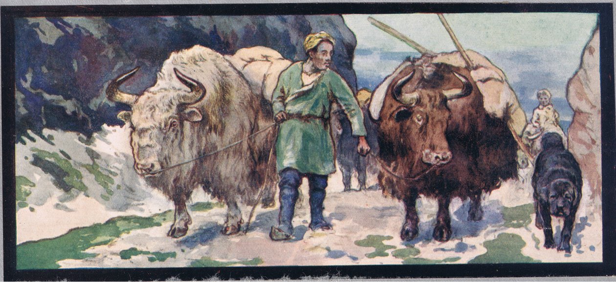 Mountain yaks, illustration från "Hjälparna utan händer" av Gladys Davidson, publicerad 1919 (färg litho) av John Edwin Noble