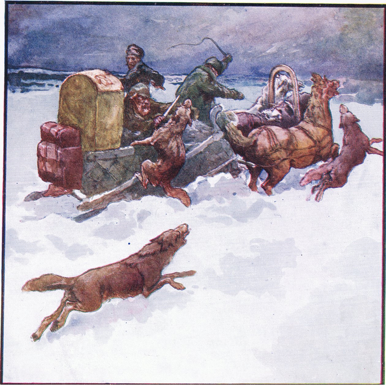 Min följeslagare stack kallt sin ena arm i munnen på en varg (färg litho) av John Edwin Noble
