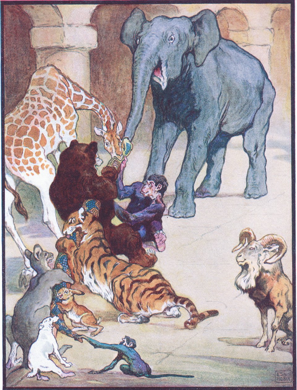 "Never Before or Since has there been such a Tug of War", illustration för "Zum, Zum, Ziss", från "Animal Legends from Many Lands", utgiven av Raphael Tuck & Sons Ltd. (färg litho) av John Edwin Noble