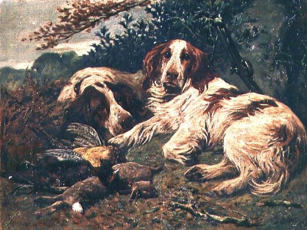 Ett par lever och vita Clumber Spaniels vid dagens väska av John Emms