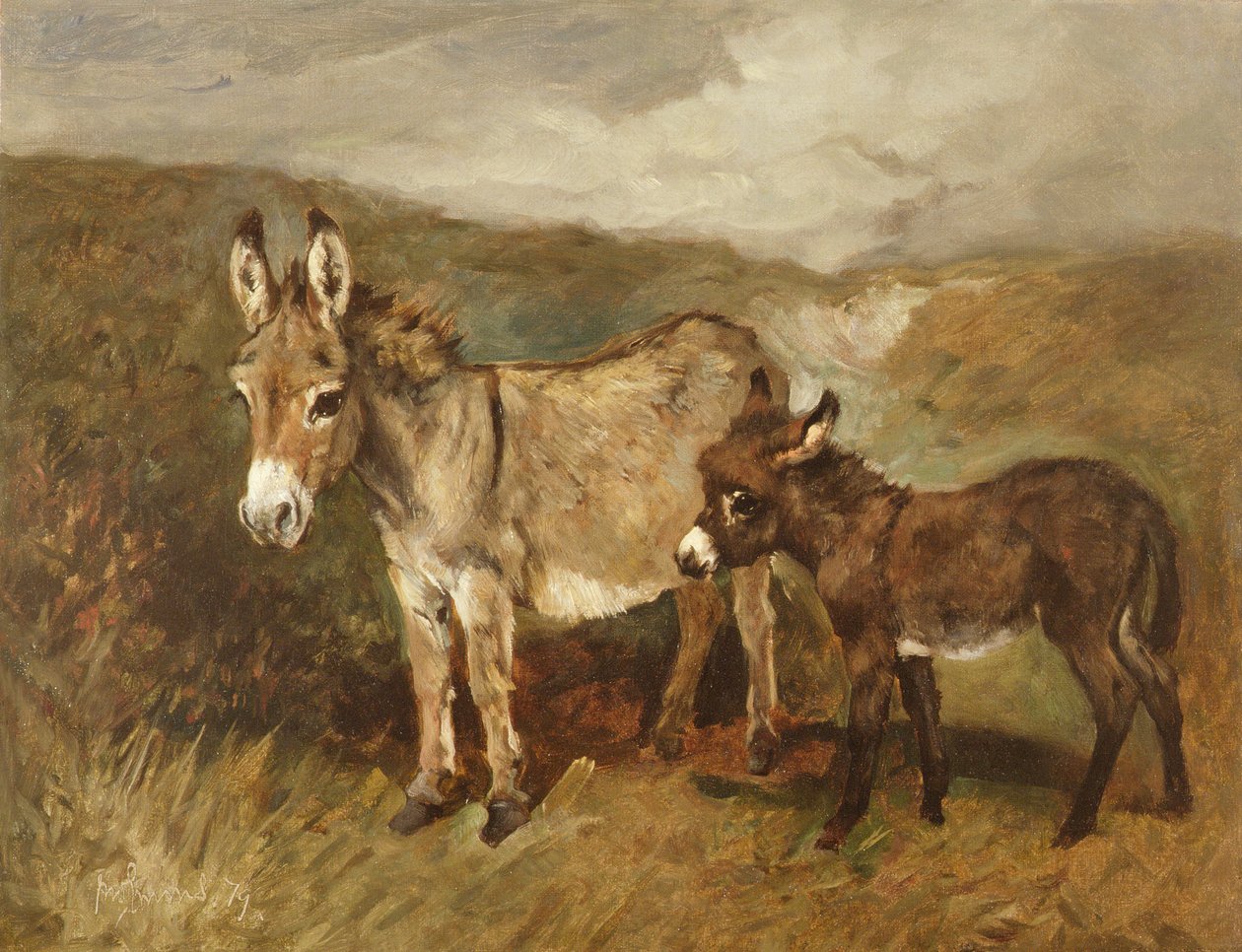 Åsnor ute på heden, ca 1890 av John Emms