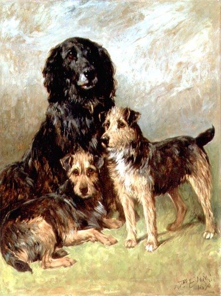 Familj husdjur av John Emms