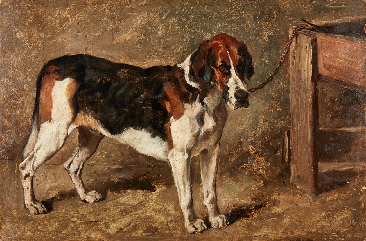 Studie av en hund (olja ombord) av John Emms