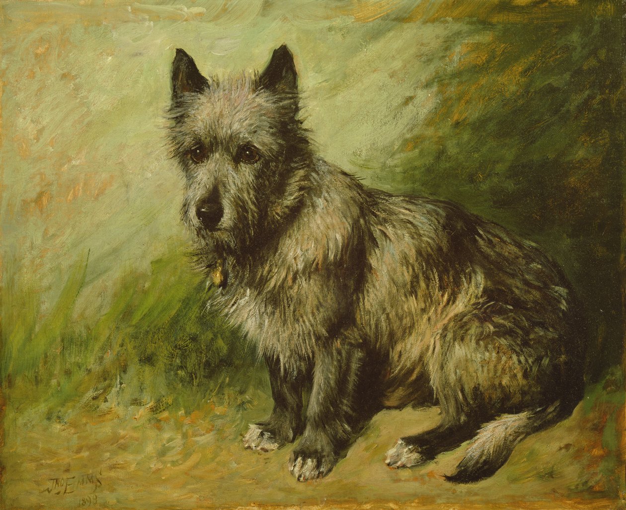 Tattrar av John Emms