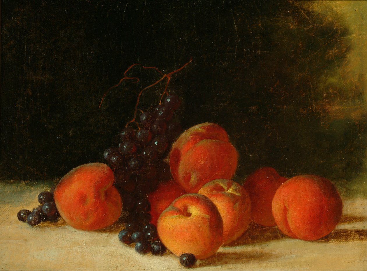 Stilleben med vindruvor och persikor, ca 1845 (olja på duk) av John F. Francis