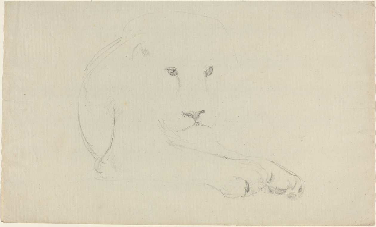Lejon av John Flaxman