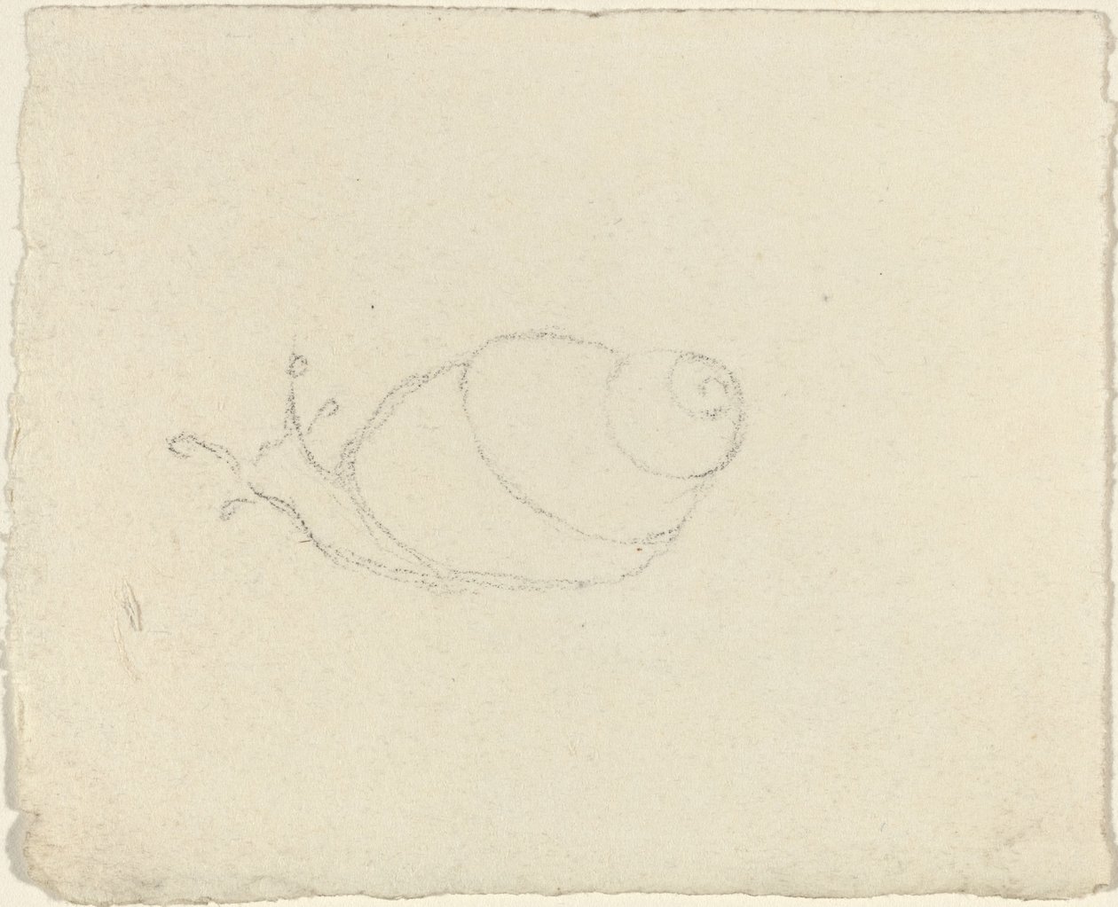 Sniglar [recto and verso] av John Flaxman