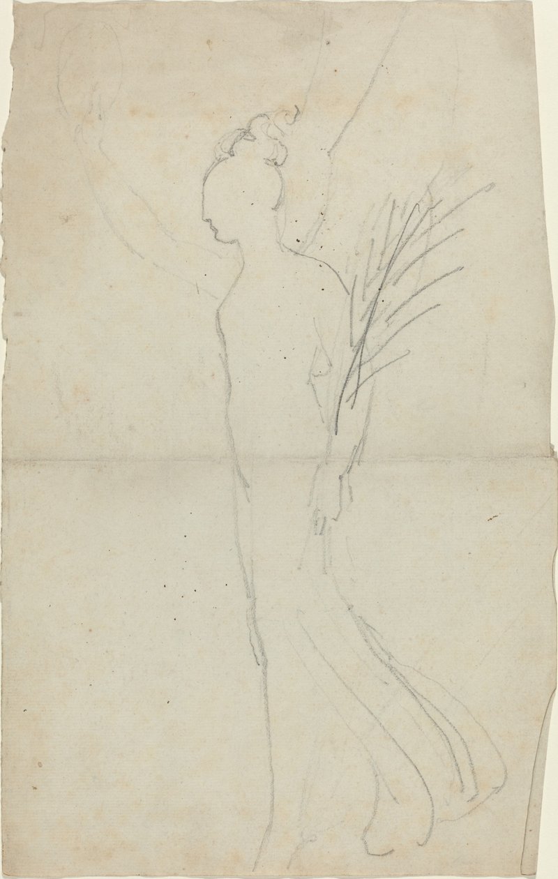 Stridande hona med handflatan av John Flaxman
