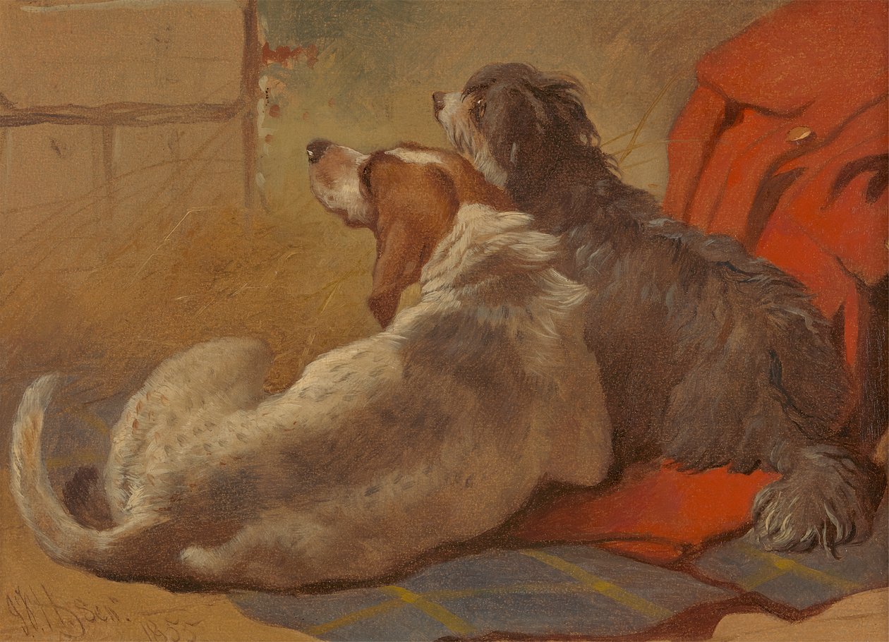 En hund och en bearded collie sittande på en jaktrock av John Frederick Herring