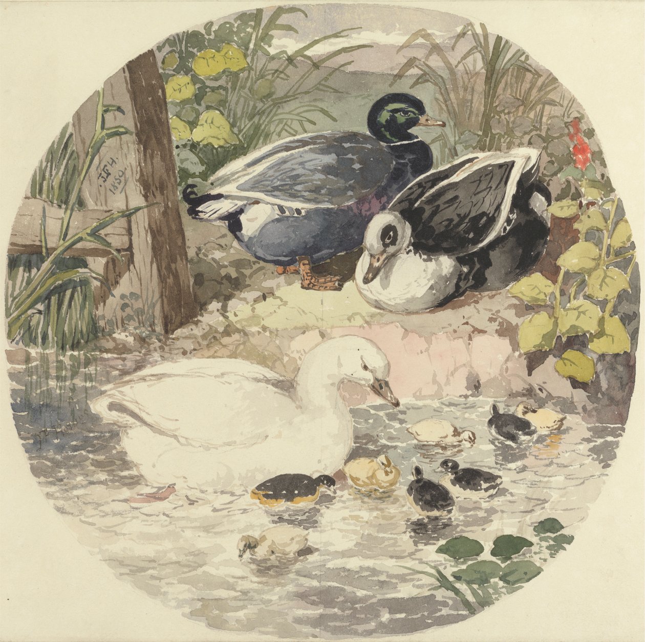 Ankor av John Frederick Herring