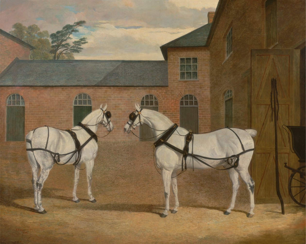Grå vagnhästar på vagngården i Putteridge Bury, Hertfordshire av John Frederick Herring