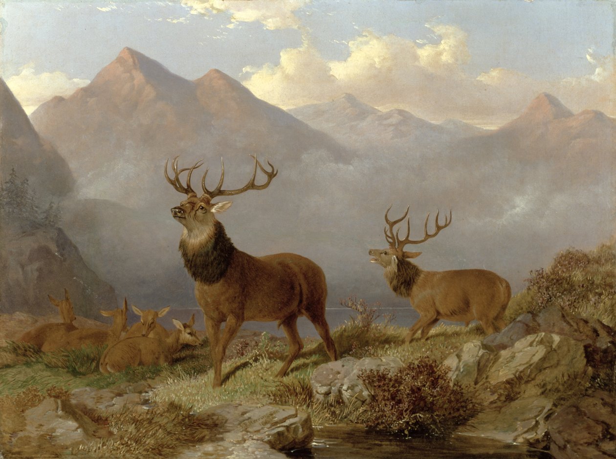 Stags And Hinds In A Highland Landscape, 1864 av John Frederick Herring Junior
