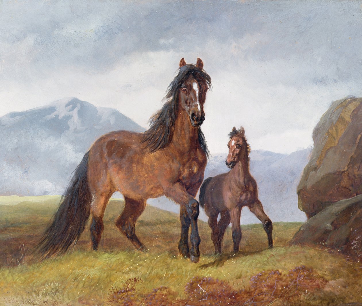 Ett walesiskt bergsto och föl, 1854 (panel) av John Frederick Herring Senior