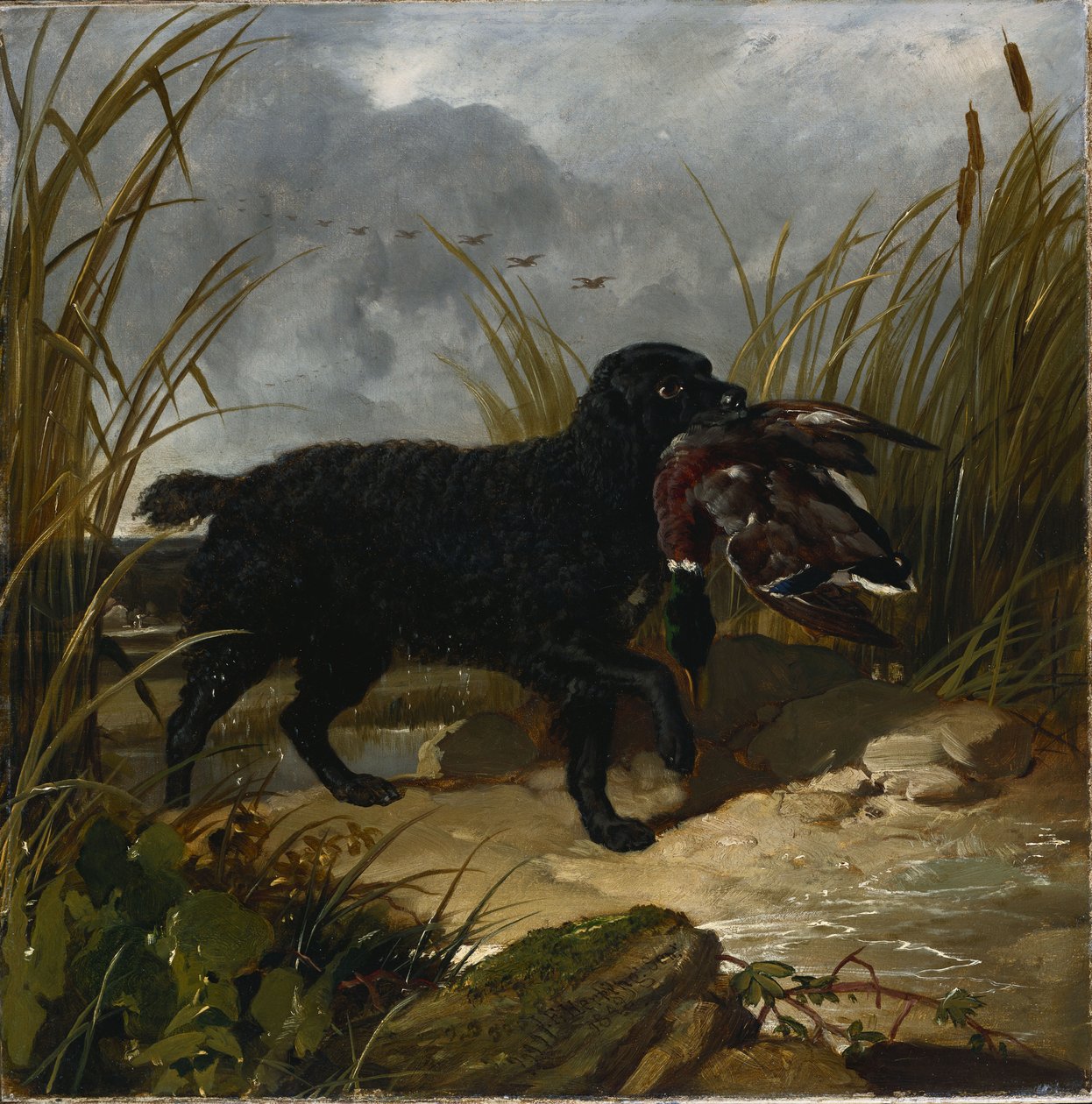 En irländsk vattenspaniel som hämtar en gräsanddrake, 1849 av John Frederick Herring Senior