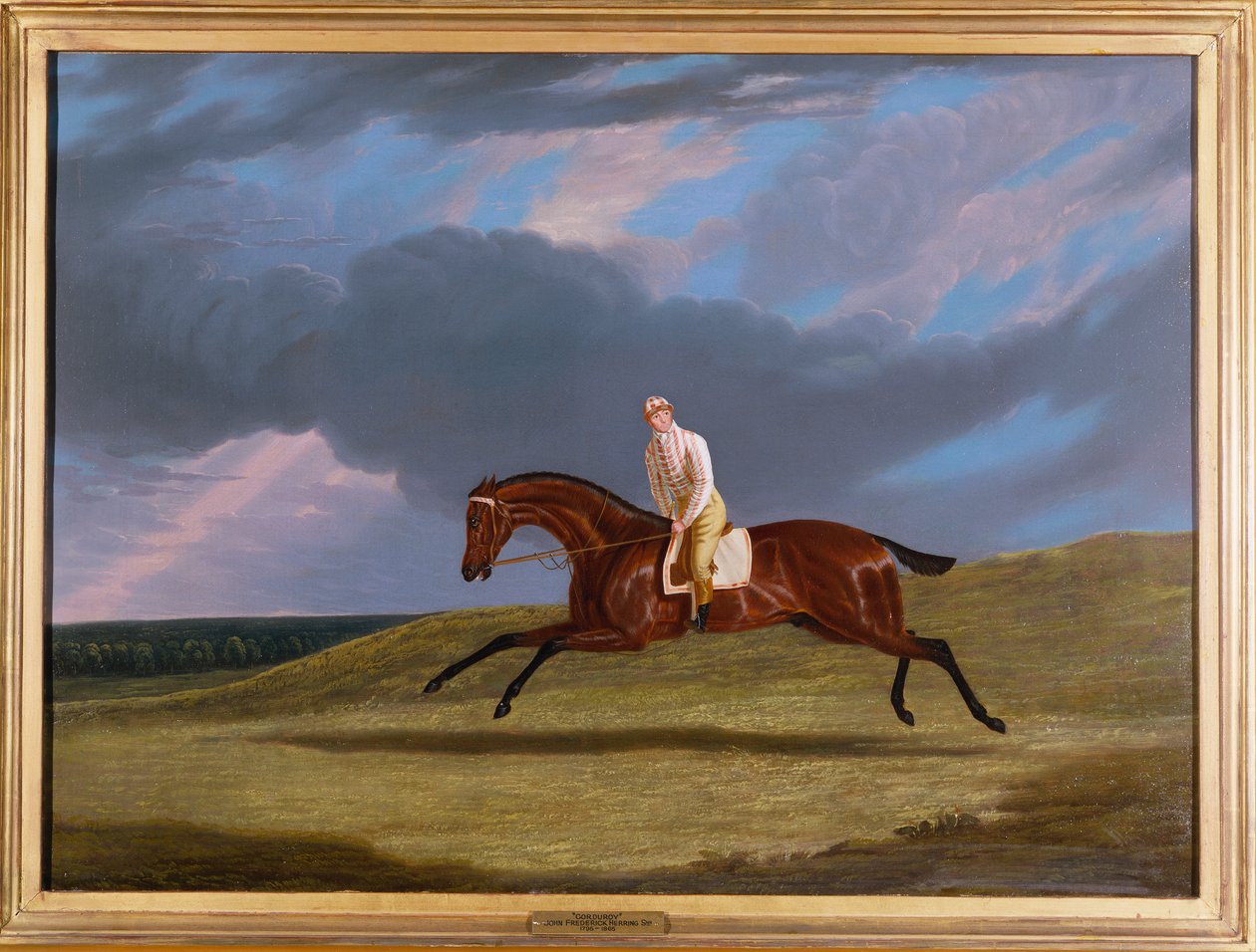 "Corduroy", en Bay Racehorse, med en Jockey Up, Galopperande på en Racecourse av John Frederick Herring Senior