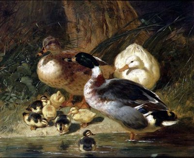 Ankor och ankungar av John Frederick Herring Senior