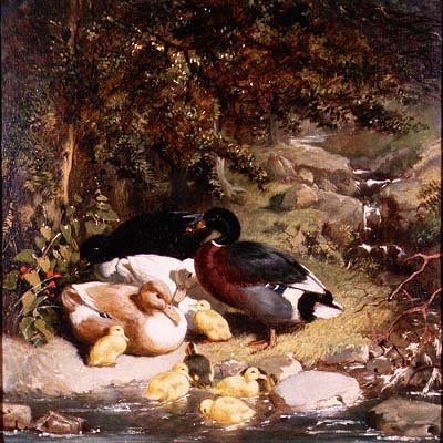 Ankor och ankungar av John Frederick Herring Senior