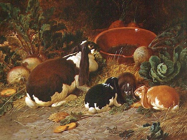 Fancy Rabbits, en Doe med sina ungar av John Frederick Herring Senior