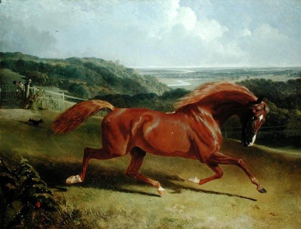 Galopperande häst i ett landskap (olja på duk) av John Frederick Herring Senior