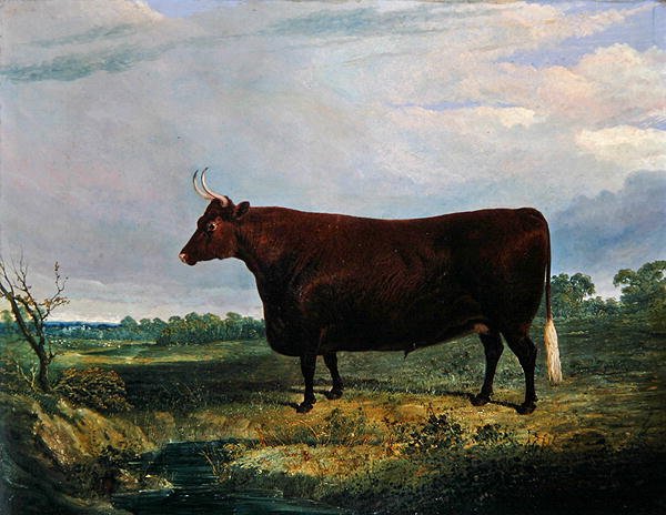 Porträtt av en brun tjur av John Frederick Herring Senior