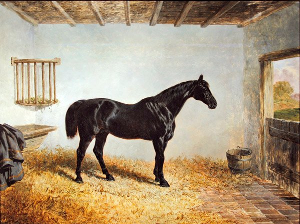 Porträtt av en hingst som står i ett stall (olja på panel) av John Frederick Herring Senior