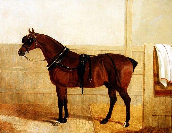 Pris Shire häst i sele av John Frederick Herring Senior
